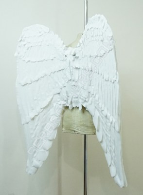 wings 1